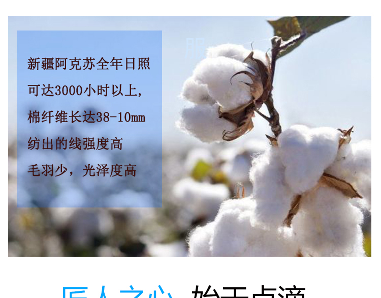 班服定制t恤印logo學(xué)生夏季寬松diy短袖文化衫訂做運動(dòng)會(huì )團隊衣服(圖27)