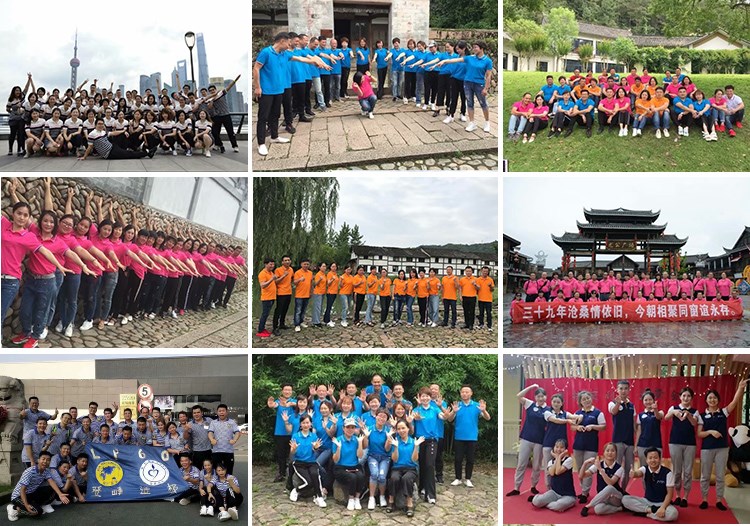 2019秋季工作服長(cháng)袖t恤立領(lǐng)POLO衫男女工裝團體服定制diy印字logo(圖2)