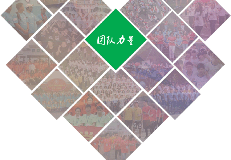 公司年終聚會(huì )圓領(lǐng)衛衣定制團體工作服diy定做志愿者馬甲印字Logo(圖40)